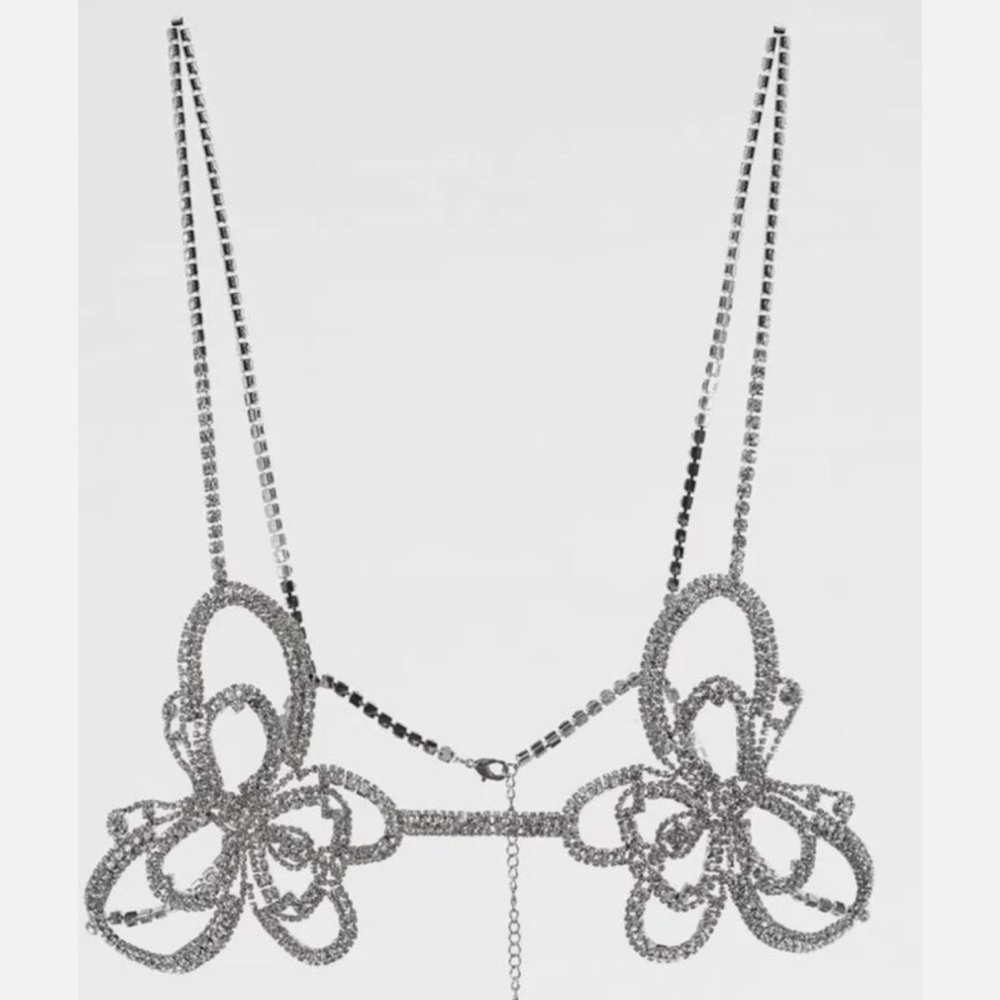 Silver Chain - Picture 2 of 3
